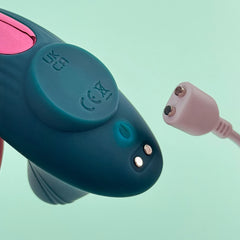 secret sweet horny panty vibrator