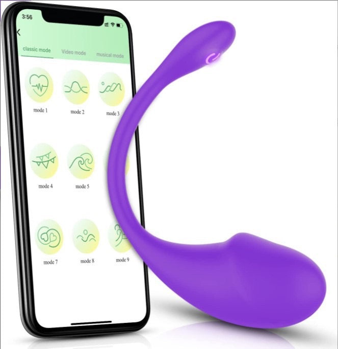 APP Remote Control Long Distance Bluetooth Wearable Panty Couple G-spot Vibrator