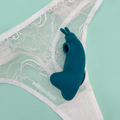 secret sweet horny panty vibrator